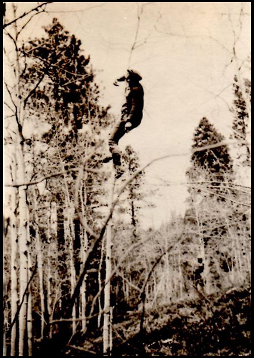 Man Up a Tree - Circa 1920's photo 1-ManUpaTree-Circa1920s_zps2c965ef6.jpg