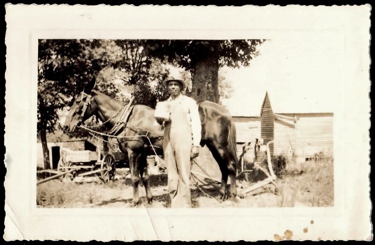 photo 2720 Bicknell Photo Service - Farmer with Horse - Portland Maine - August 12 1938_zpsma9i68rw.jpg