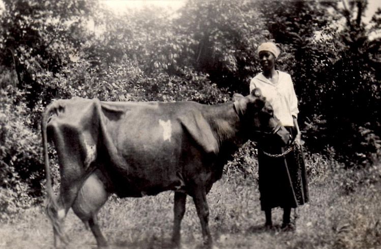 Young Woman with Cow - Circa 1930s photo 23-YoungWomanwithCow-Circa1930s_zps22facc1a.jpg
