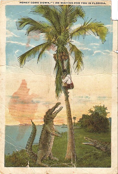 Honey Come Down I’m Waiting For You In Florida Mailed August 26, 1921 photo HoneyComeDownImWaitingforyouinflorida-Mailed82621_zps930b89ae.jpg