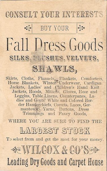 Wilco’s & Co. Leading Dry Goods & Carpet House back photo IseGwineForToWushuDatLilyKaseItSemblesMeback1884_zpsbe1e874e.jpg