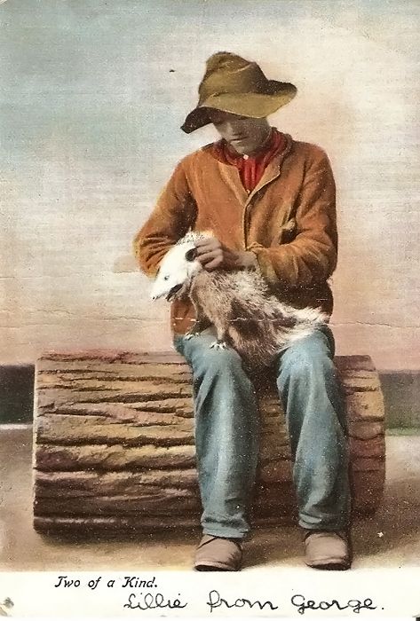 No. 78-5 Two of A Kind Illustrated Postal Card Co. New York & Leipzip Germany Circa 1910’s photo TwoofAKind78-5LRNIllustratedPostalCardCoNYLeipzip_zps753c4e87.jpg