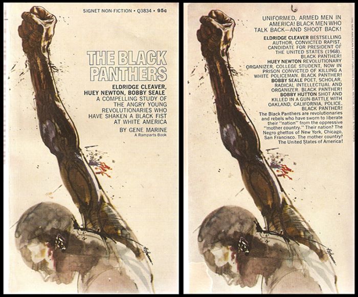 THE BLACK PANTHERS-1969 photo TheBlackPanthers-small_zps2038c608.jpg