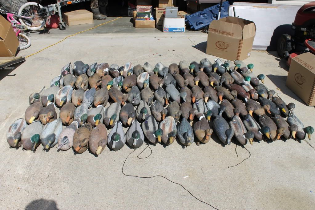 NorthWind Stakes and Duck Decoys FS North Dakota Fishing and Hunting