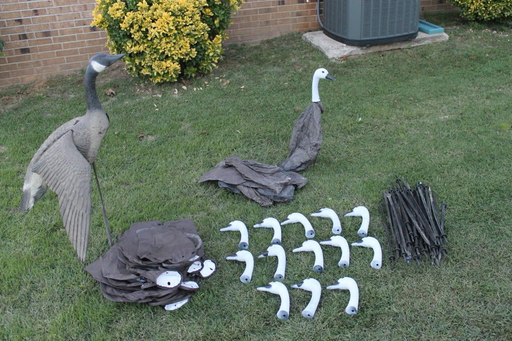 Goose Decoys For Sale >> Used Canada Goose Decoys For Sale Goose Decoys For Sale >> Used Canada Goose Decoys For Sale