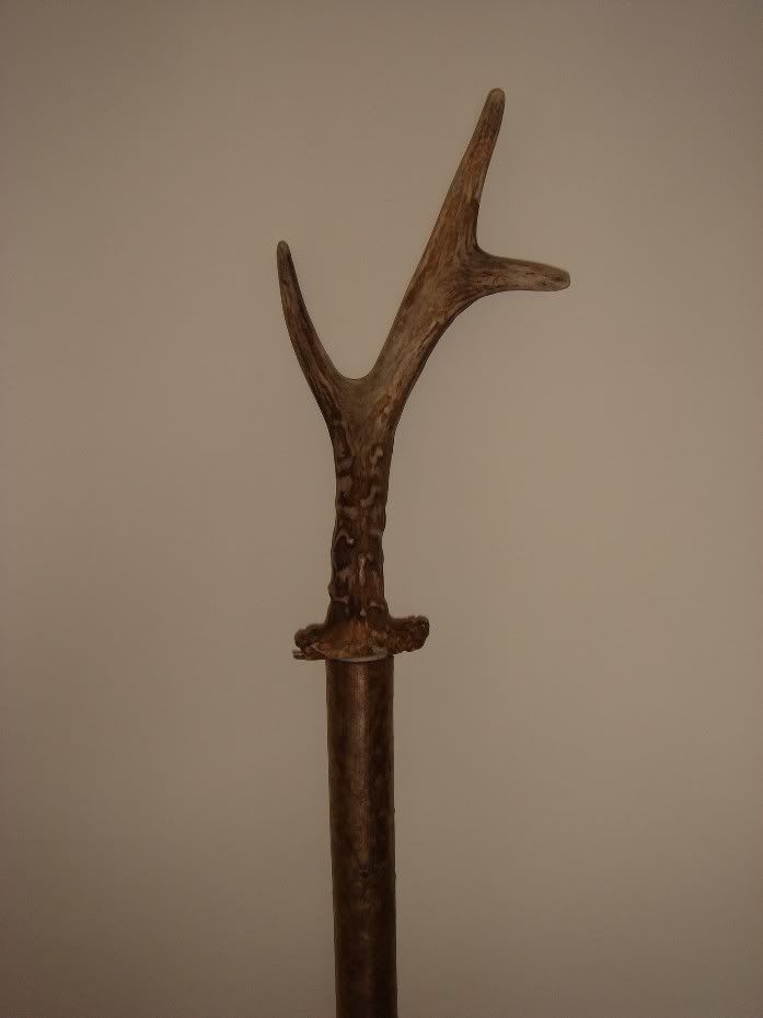 Antlerstick697x929.jpg