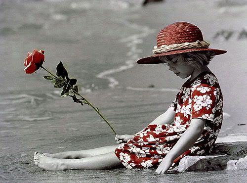 L'immagine “http://i242.photobucket.com/albums/ff125/Tisbuccia/2540307_66e304863b.jpg” non può essere visualizzata poiché contiene degli errori.