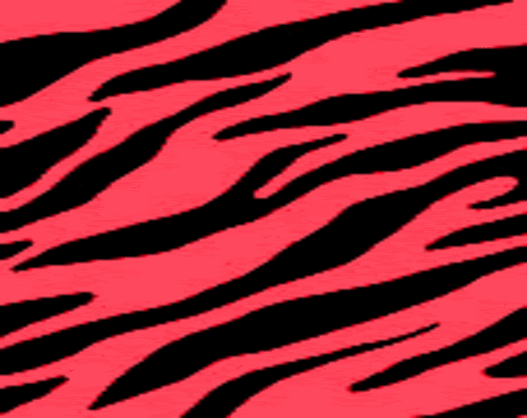 zebra print. FLASHY ZEBRA PRINT