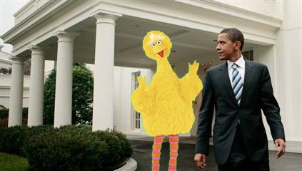 Obama Big Bird Pictures, Images and Photos