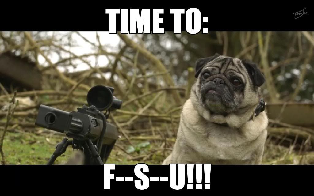 Sniper%20Pug.jpg