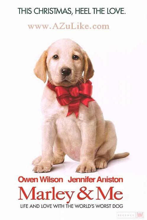 marley and me Pictures, Images and Photos