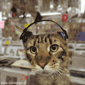 2-26.gif