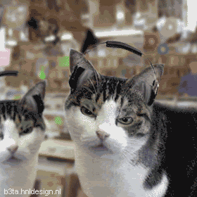 3-23.gif