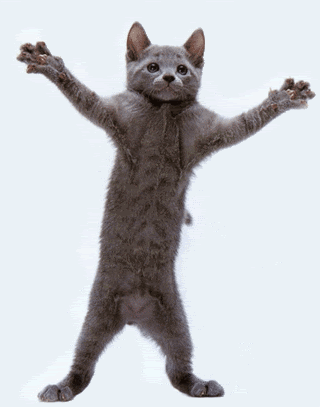7-14.gif