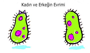 evrim5lq4lj6so.gif