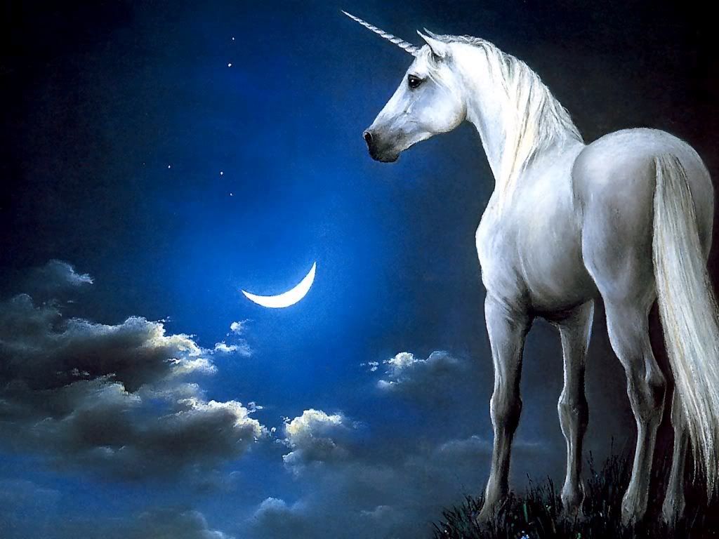 unicornwithcresentmoon.jpg Unicorn image by dreams2life