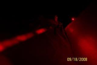 000_0065-1.jpg