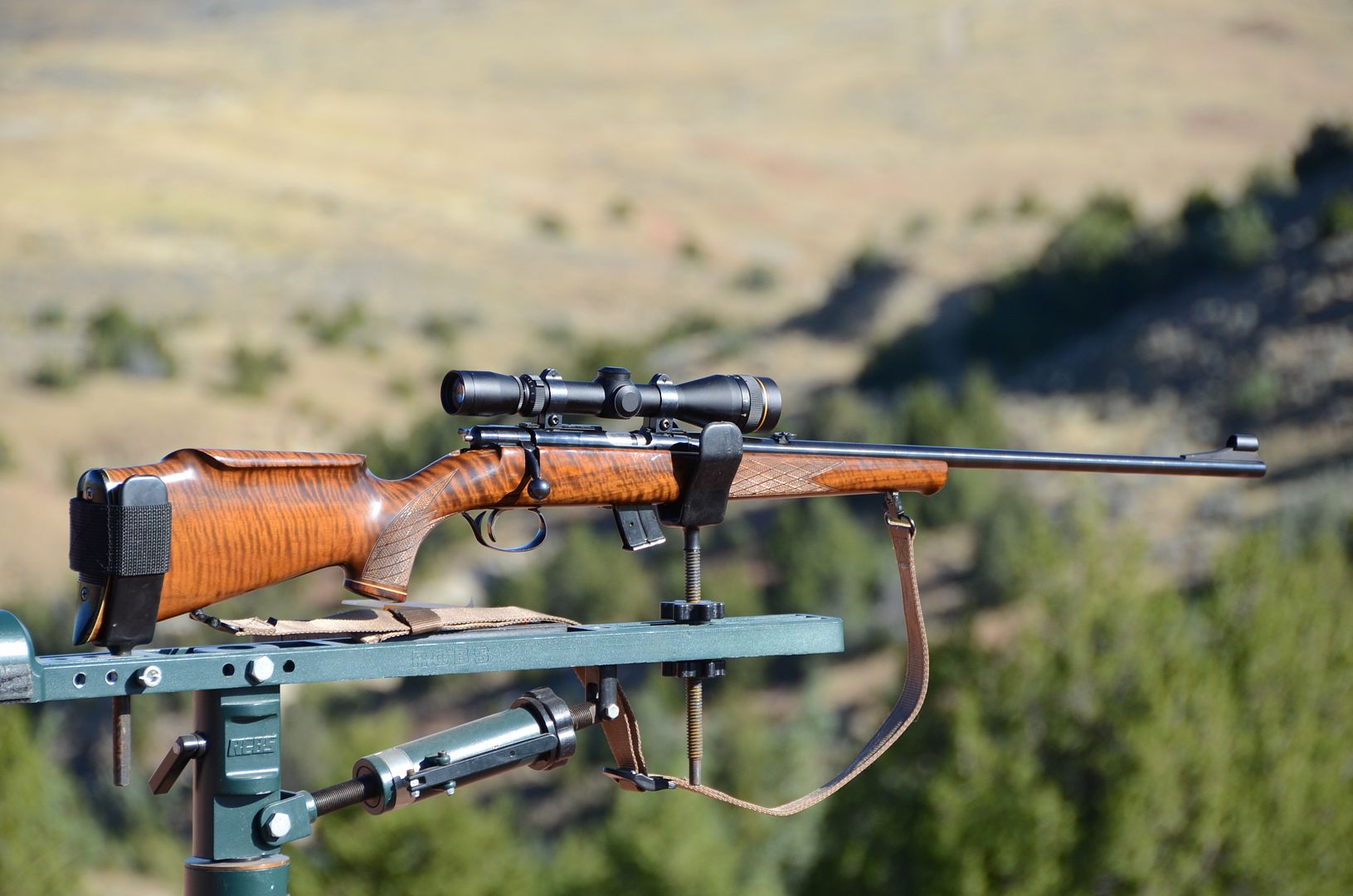 Show off your favorite rimfire plinkers! - .22 Rifle/Rimfire Discussion