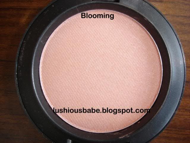 BloomingLBB.jpg