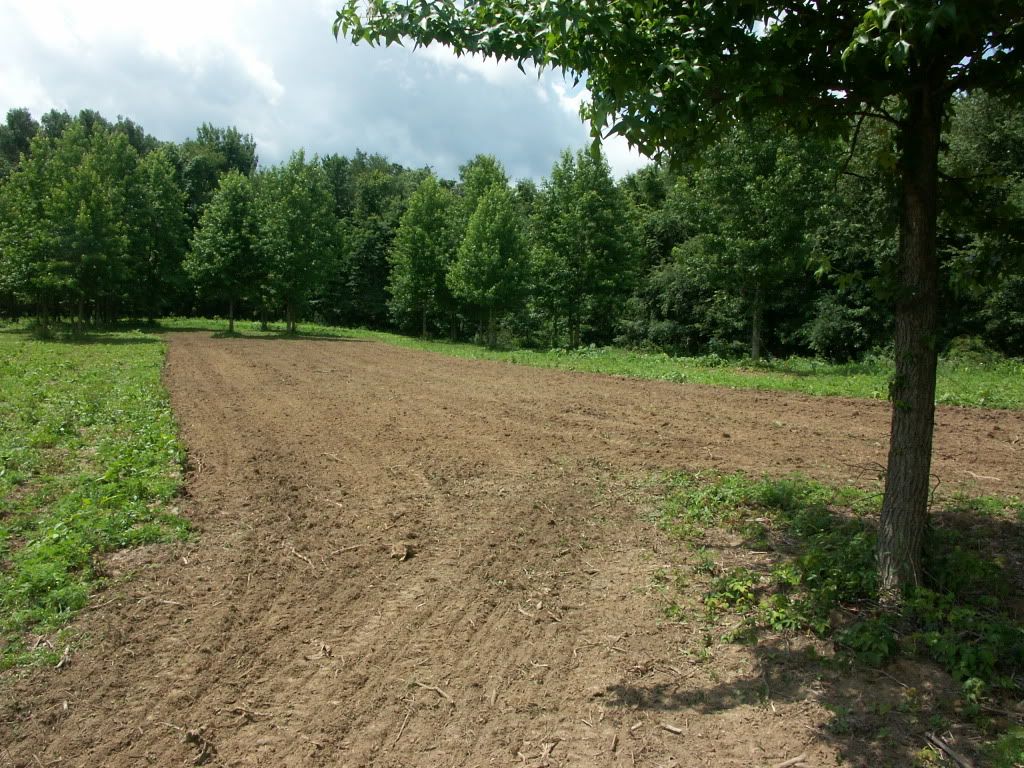 PICT0015-1.jpg