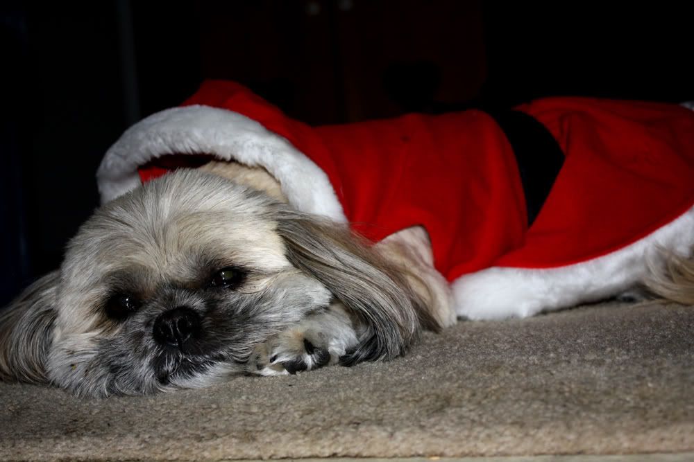 IMAGE: http://i242.photobucket.com/albums/ff209/dyeballin11/Rebel%20XS/heide.jpg