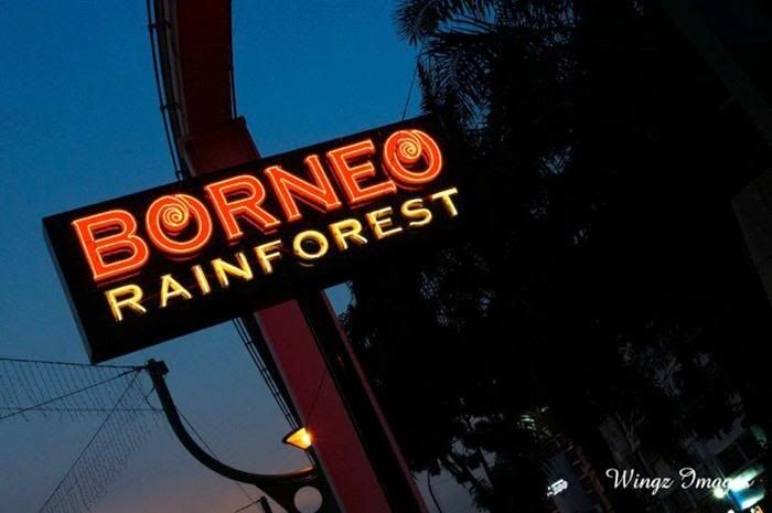 Borneo Rainforest Sunway Borneo Rainforest Sunway iTALKWHOA @ BORNEO RAINFOREST, SUNWAY