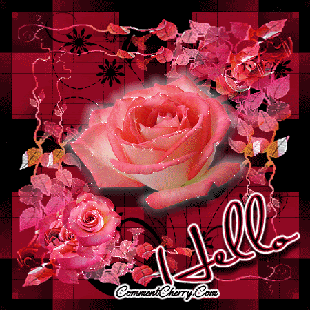 hello rose Pictures, Images and Photos