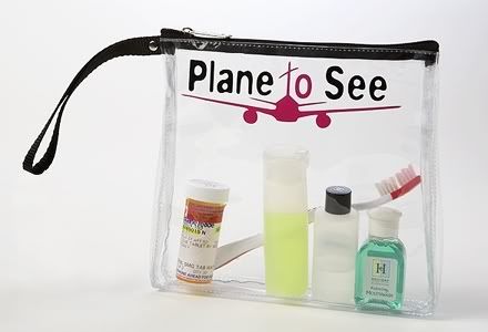 See-Thru Cosmetics Travel Bag