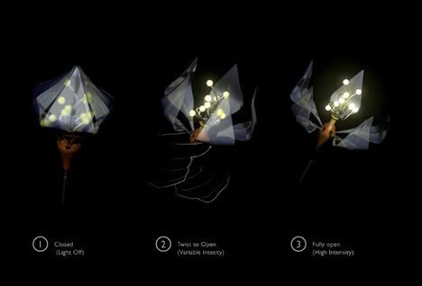 Blooming Lights