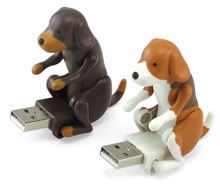 Humping USB Dog