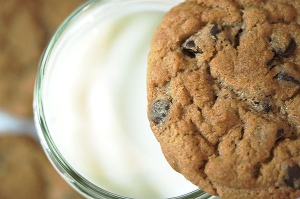 chocolate chip cookie and milk