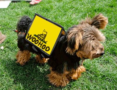 protest dog