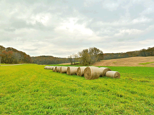 menacing hay bales