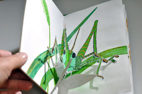 grasshopper pop-up photo