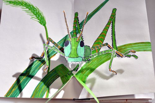 grasshopper pop-up photo