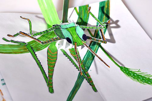 grasshopper pop-up photo