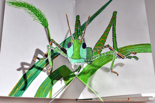 grasshopper pop-up photo