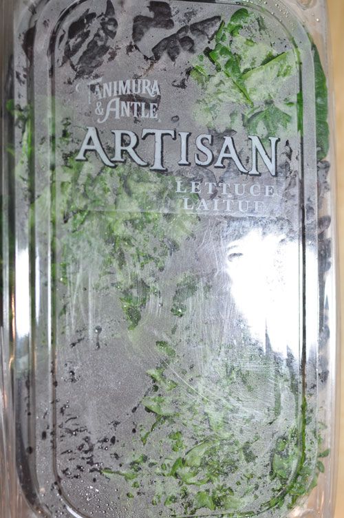 lettuce, artisan © bour3 meilleur plombier artisan savitec