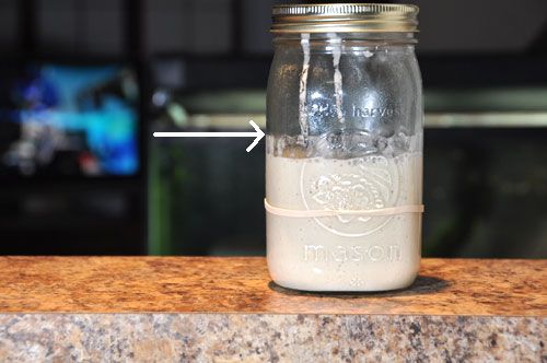 denver slow sourdough jar