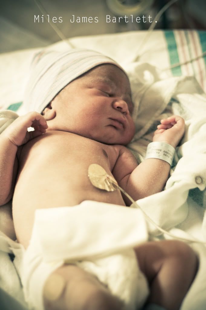 IMAGE: http://i242.photobucket.com/albums/ff240/bcrabtree162003/IMG_2615041310_04.jpg