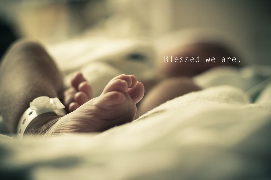 IMAGE: http://i242.photobucket.com/albums/ff240/bcrabtree162003/IMG_2625041310_02.jpg