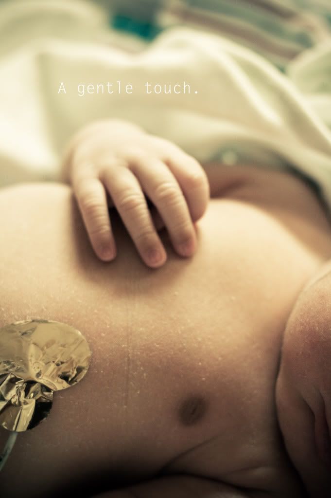 IMAGE: http://i242.photobucket.com/albums/ff240/bcrabtree162003/IMG_2628041310_03.jpg