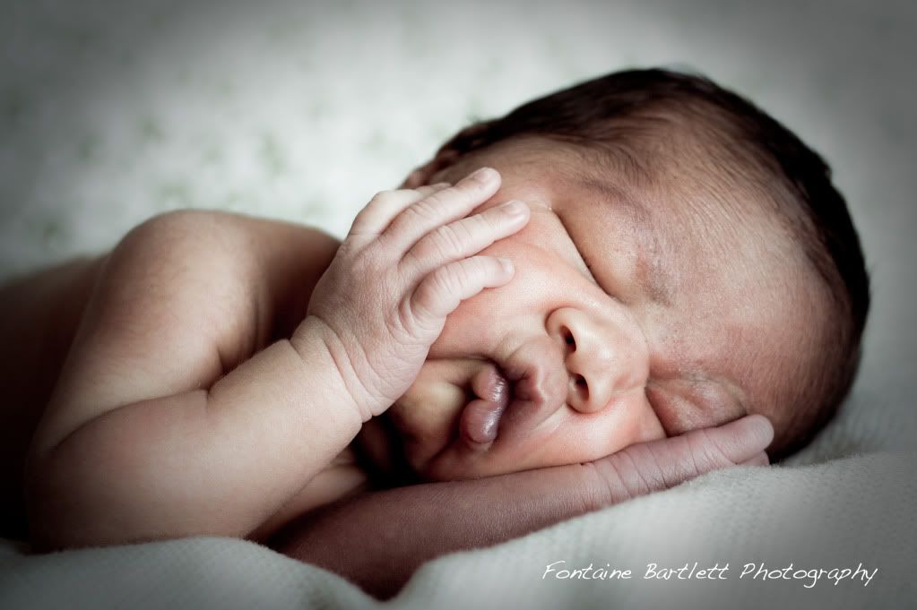 IMAGE: http://i242.photobucket.com/albums/ff240/bcrabtree162003/IMG_2827miles_studio_4.jpg