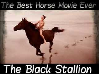 black-stallion-6-1-1.jpg