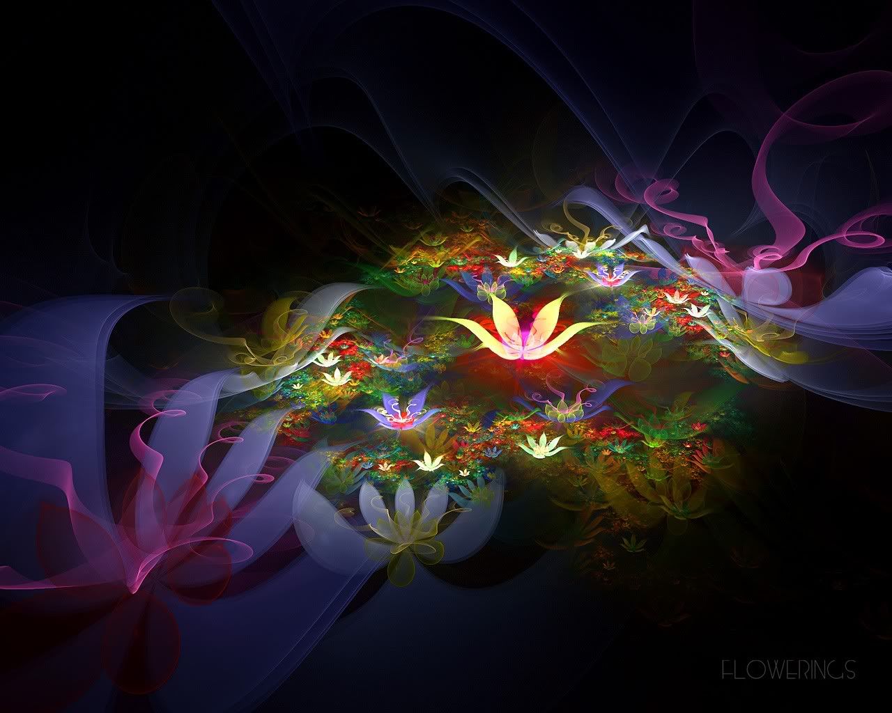 http://i242.photobucket.com/albums/ff252/digiatie/Fractal_Art_Flowerings_35.jpg