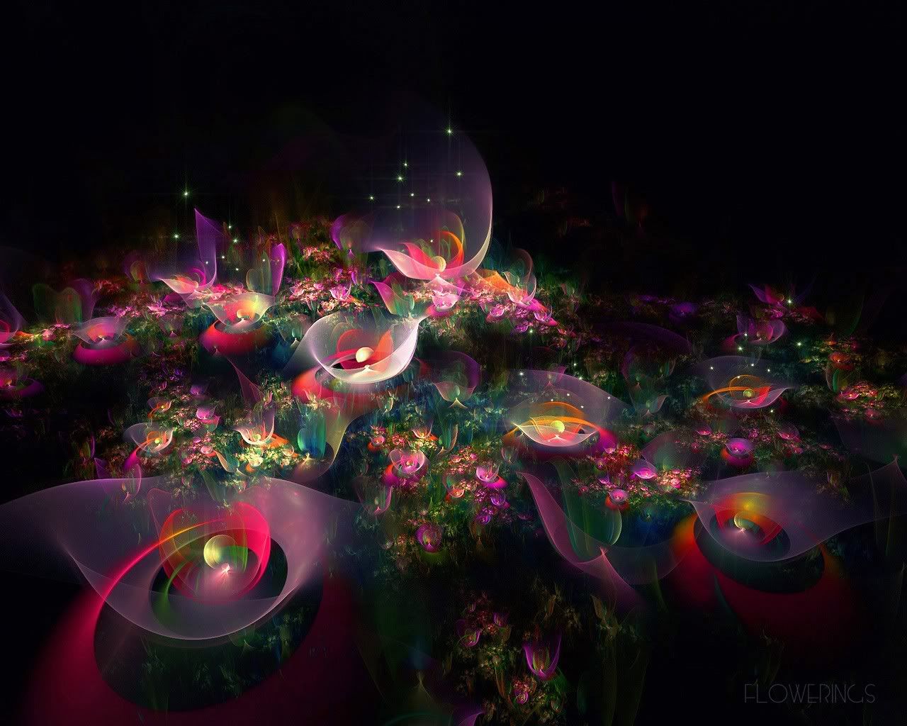 http://i242.photobucket.com/albums/ff252/digiatie/Fractal_Art_Flowerings_40.jpg