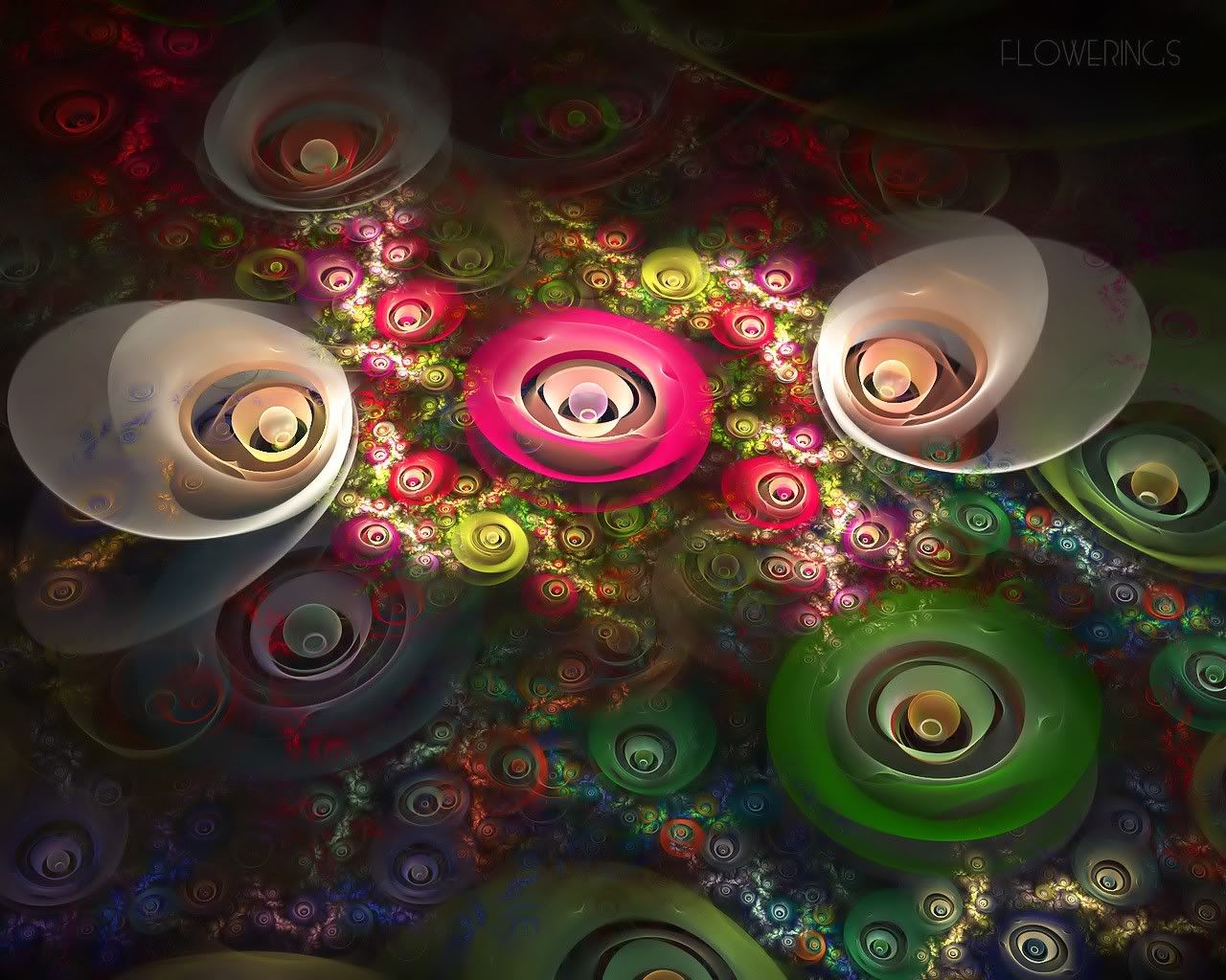 http://i242.photobucket.com/albums/ff252/digiatie/Fractal_Art_Flowerings_45.jpg