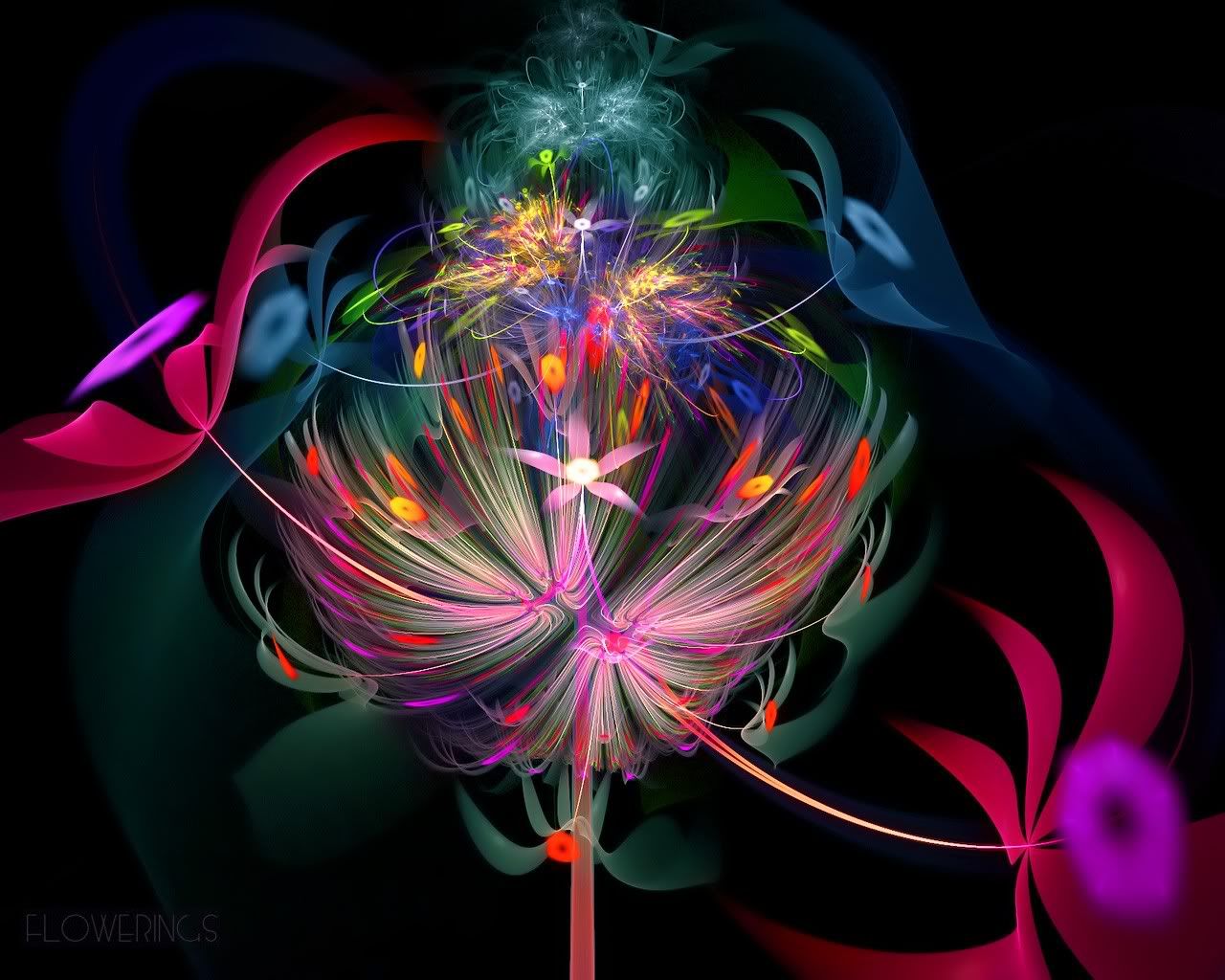 http://i242.photobucket.com/albums/ff252/digiatie/Fractal_Art_Flowerings_46.jpg