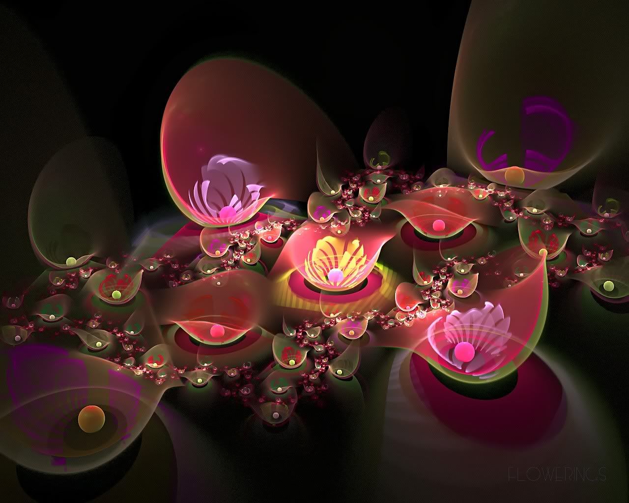 http://i242.photobucket.com/albums/ff252/digiatie/Fractal_Art_Flowerings_51.jpg