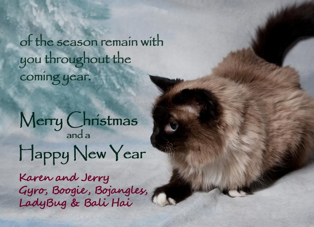 IMAGE: http://i242.photobucket.com/albums/ff260/WhiteLadyBug/Backcopy.jpg